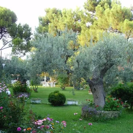 Appartement Dimitris - House Maria Manolaki - Cozy First Floor